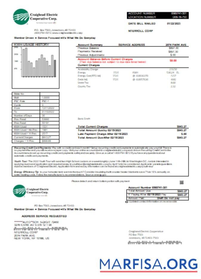 Printable Craighead Electric Cooperative utility business bill, SCR example
